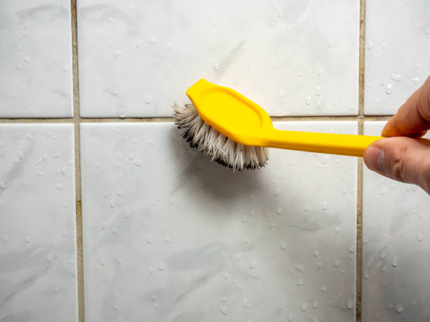 Best Fast Mold Removal  in Ellaville, GA