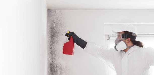Best Crawl Space Mold Removal  in Ellaville, GA