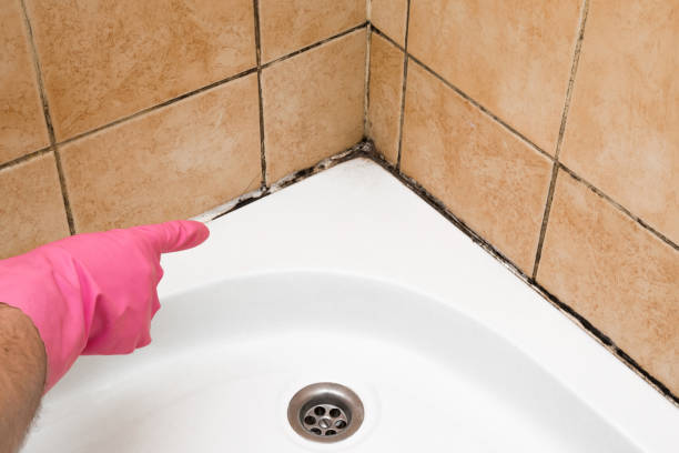 Best Mold Testing  in Ellaville, GA